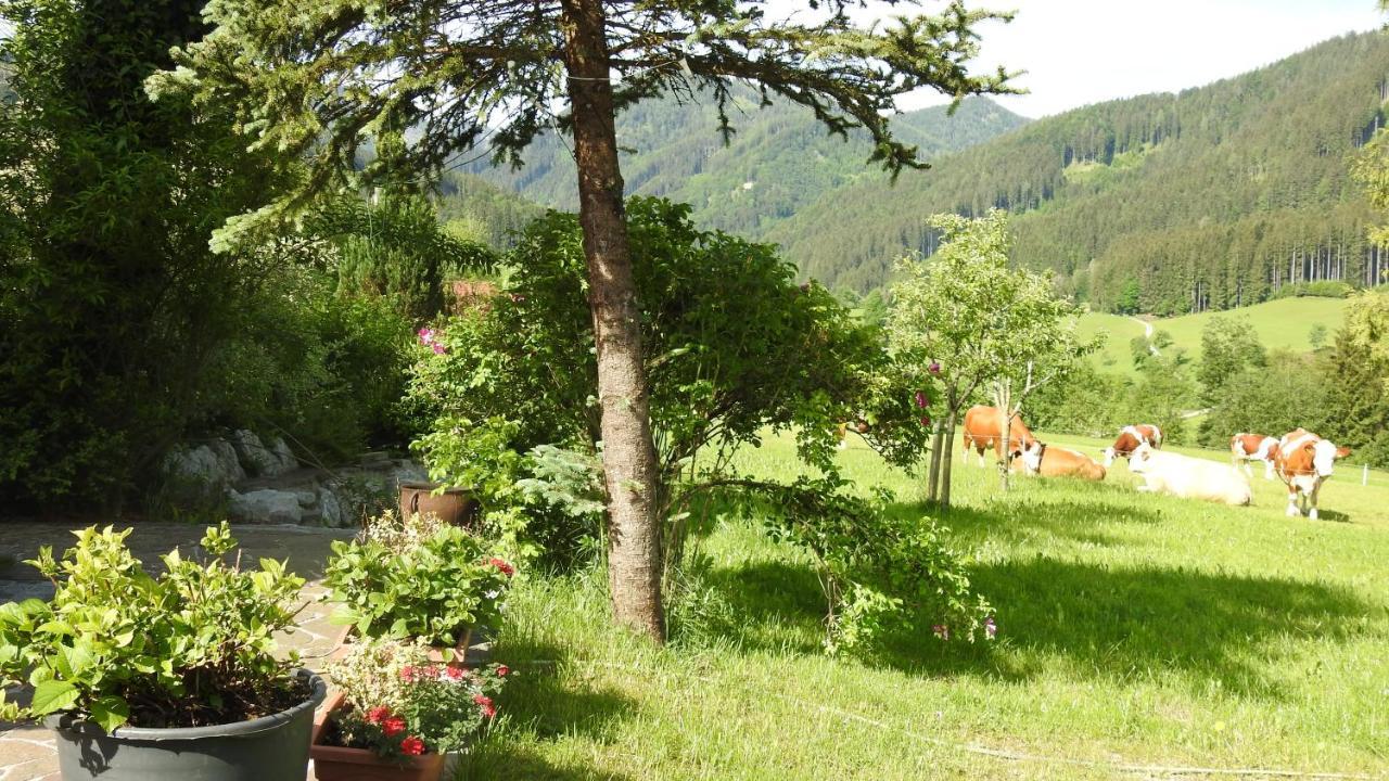 Gross Lettenwag Göstling an der Ybbs Extérieur photo
