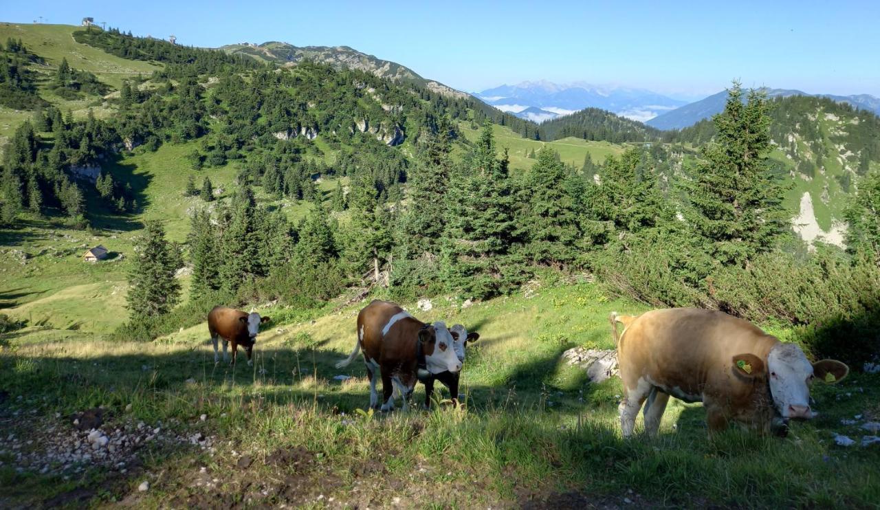 Gross Lettenwag Göstling an der Ybbs Extérieur photo